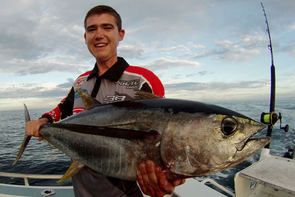 Bigeye Tuna 