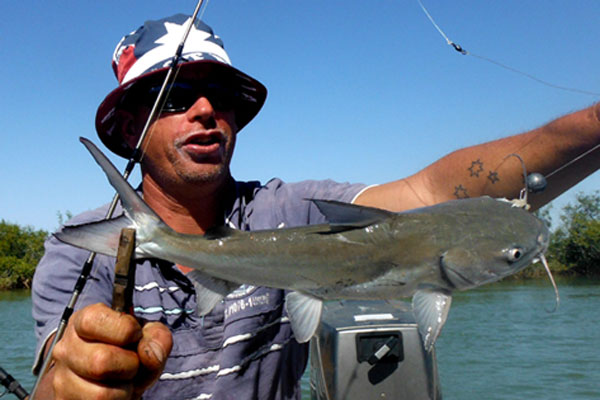 Catfish