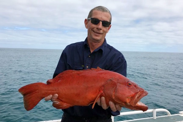 Coral Trout