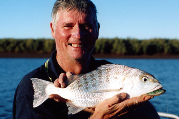 Spotted javelinfish