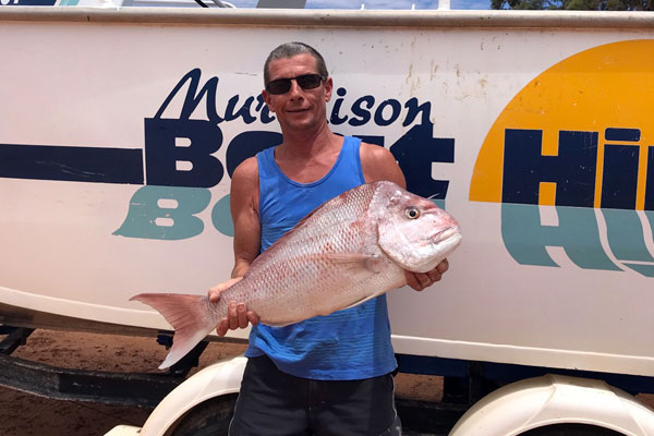 Pink Snapper Paul