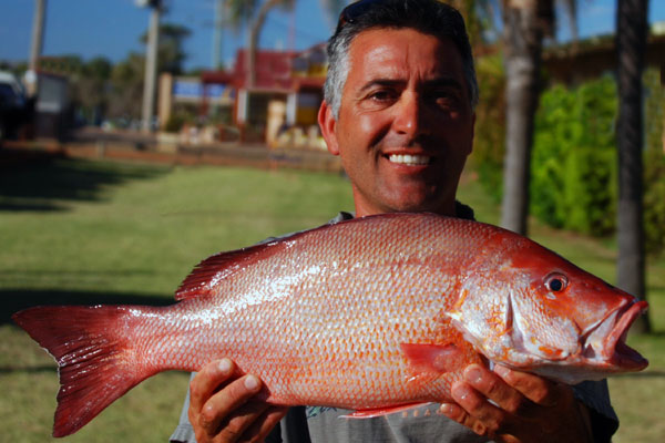 Saddletail Snapper or Sea Perch