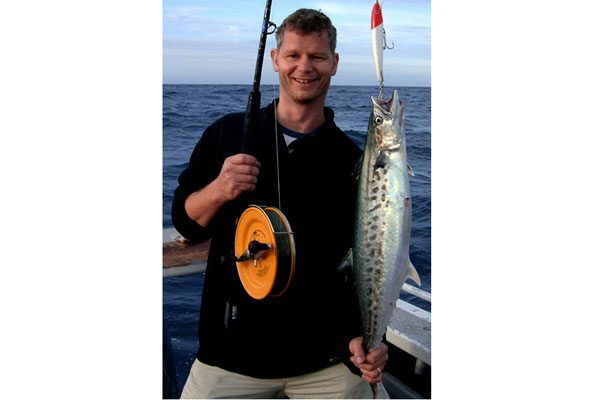 Australian spotted mackerel